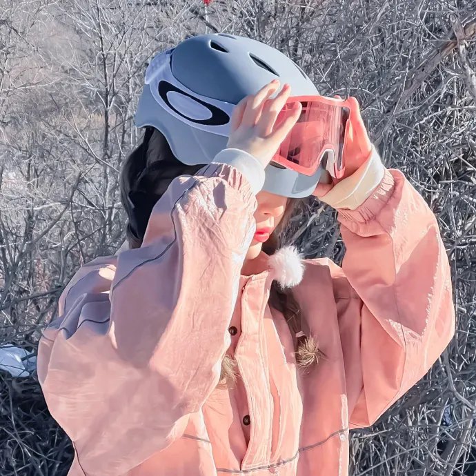傲骨贤妻第三季